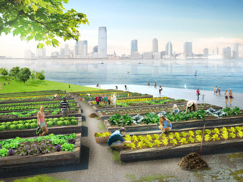 Illustration for article titled These Compost Islands Would Turn NYC's Garbage Into Gold